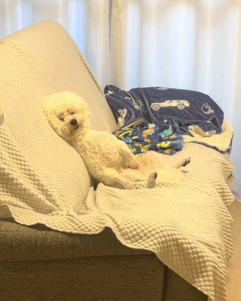 ZZZ…