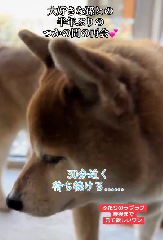 「まだかな、まだかな」