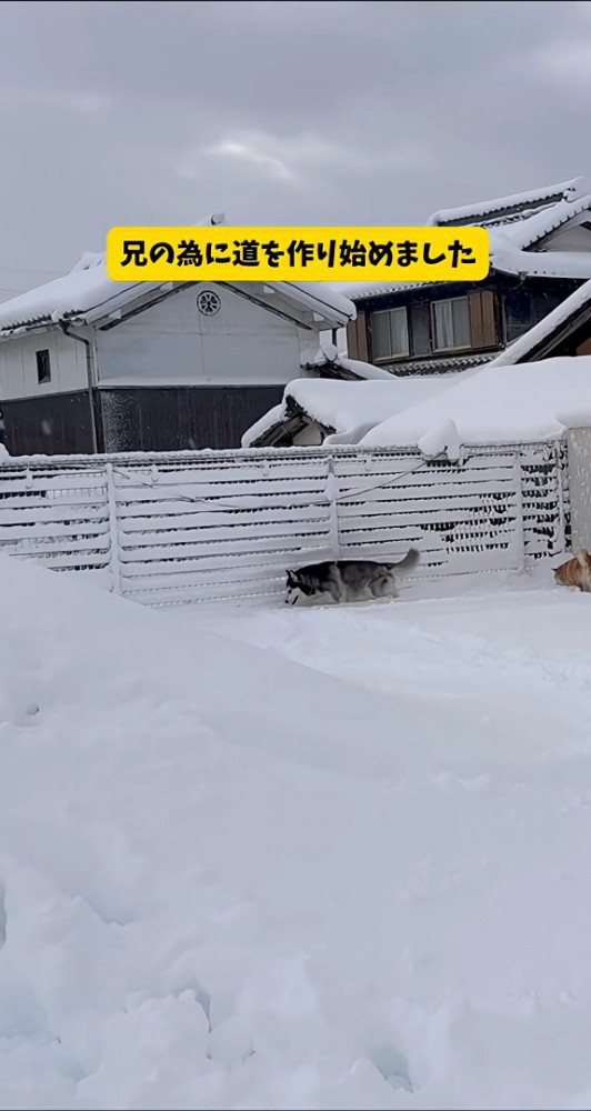 道を作り始めた！！