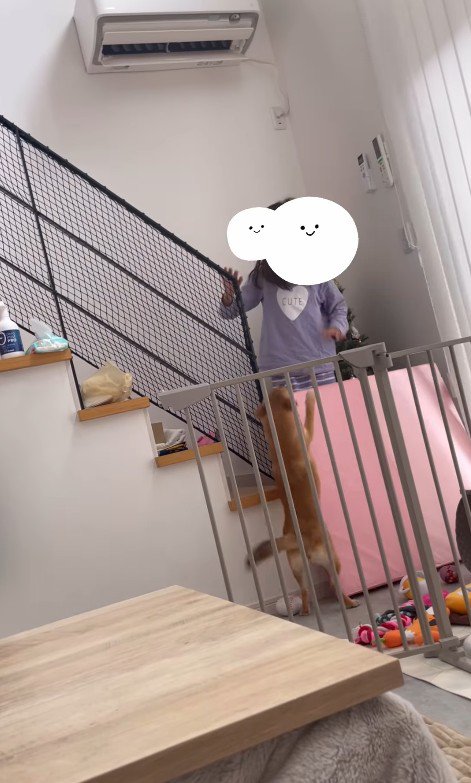 らむねちゃんとお姉ちゃんの再会7