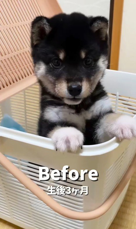 はるちゃんの成長