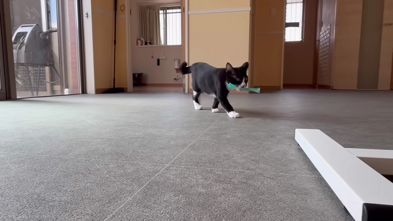 おもちゃを持ってくること