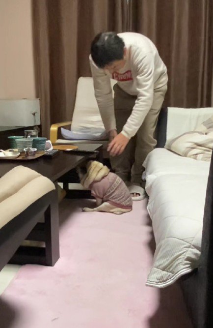 静かにアピール