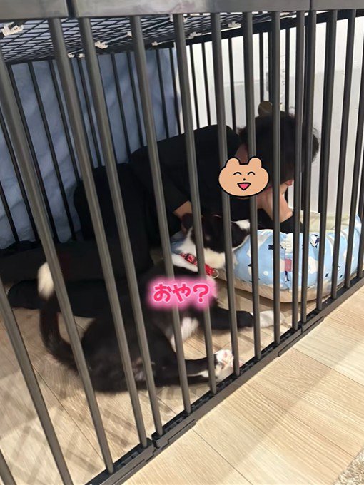 ルークくんと旦那さん3