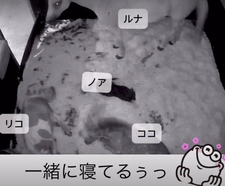 みんな集まってる！！