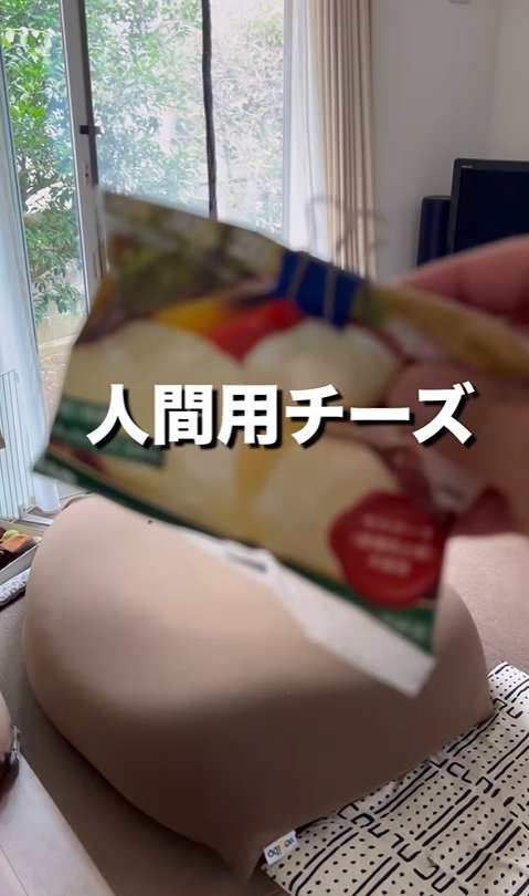 人間用チーズの袋