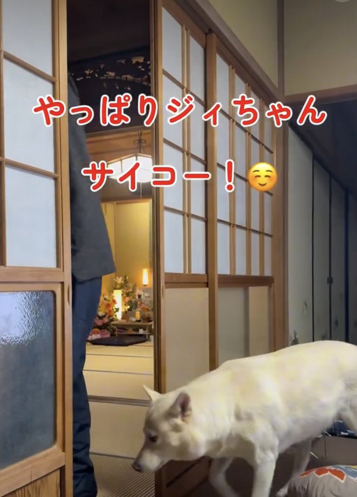 大好き、おじいちゃん