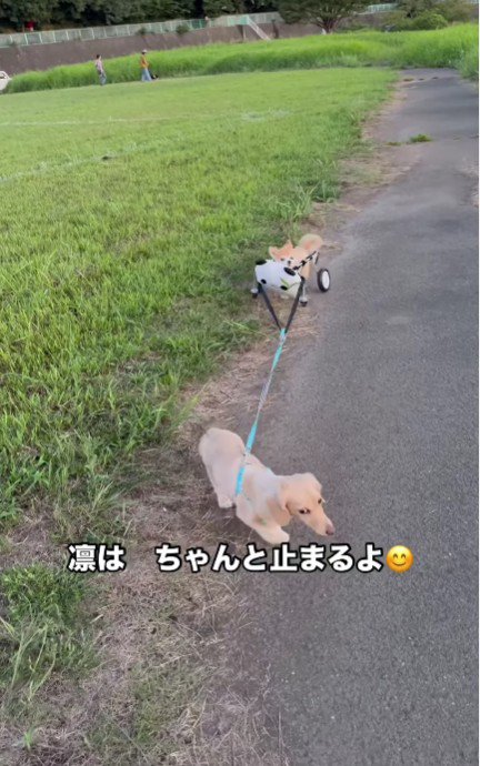 「ここは止まろう！」