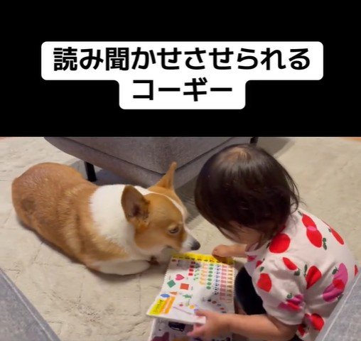 いなり君に読み聞かせをする女の子