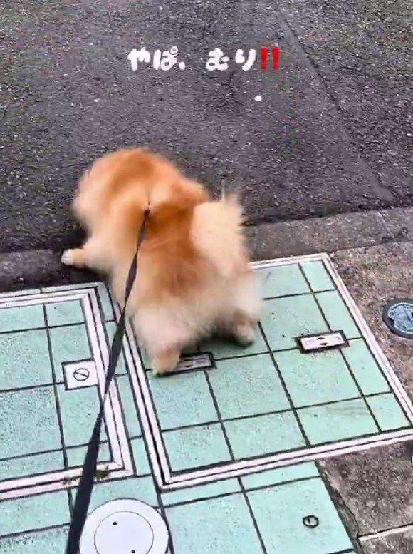 必死の抵抗にクスッ