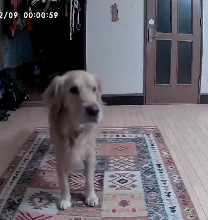 リモートオヤツで気分転換