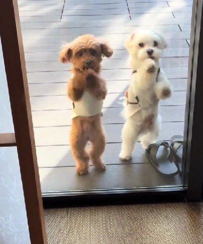 「もう入りたい！！」