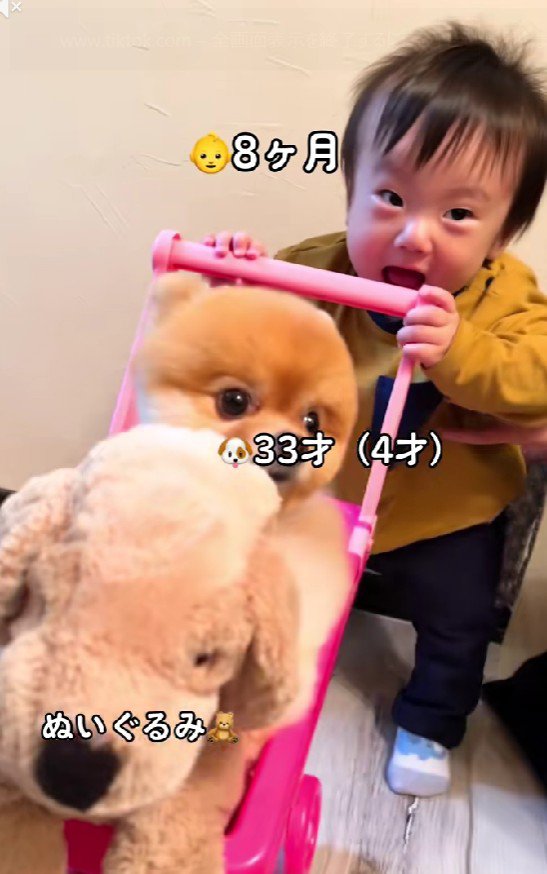 手押し車で遊ぶ赤ちゃん