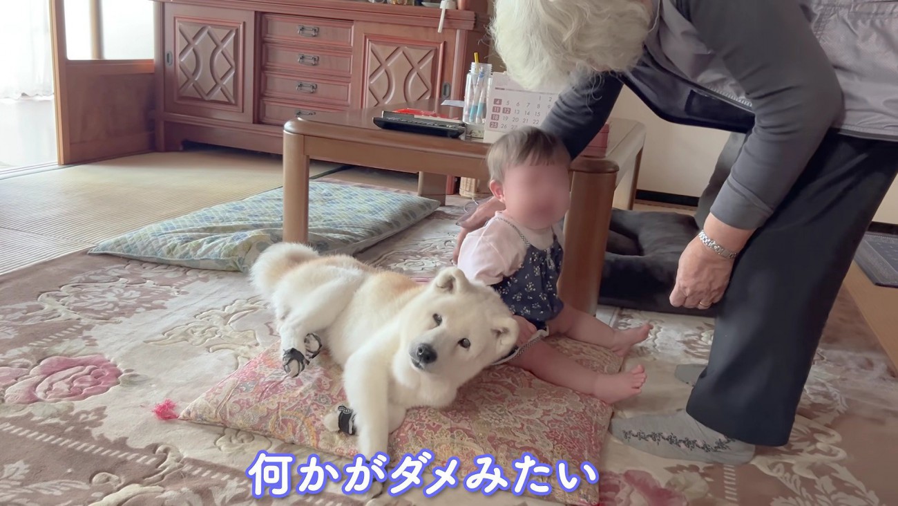 「大丈夫だよ」