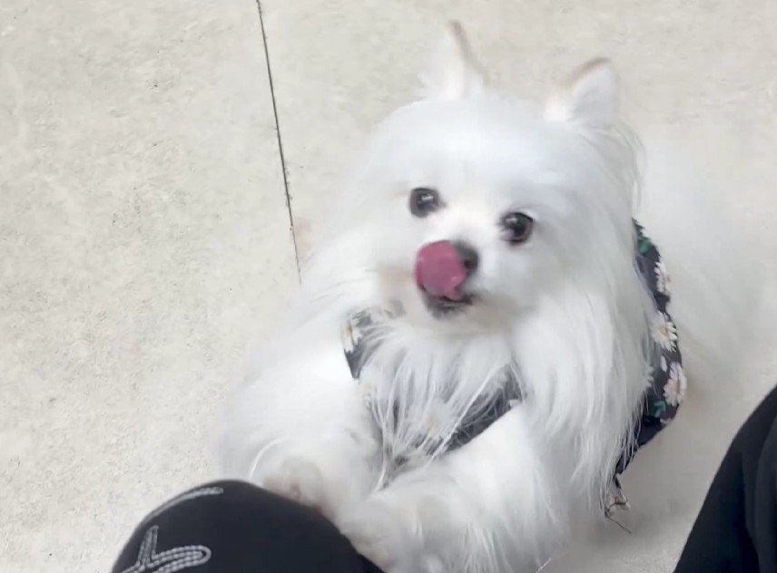 まるで子どもみたい！？