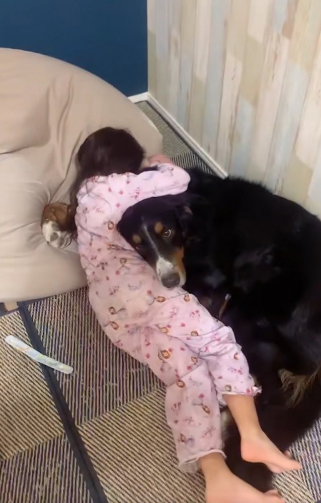 抱きつかれる超大型犬