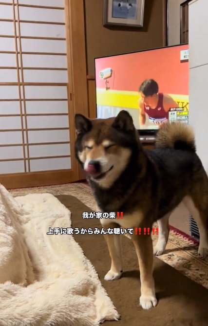 舌を出すしゅんくん