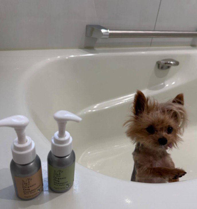 自宅でシャンプーした結果…