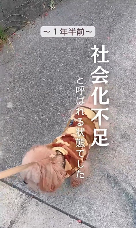 すいーぶ君の変化3