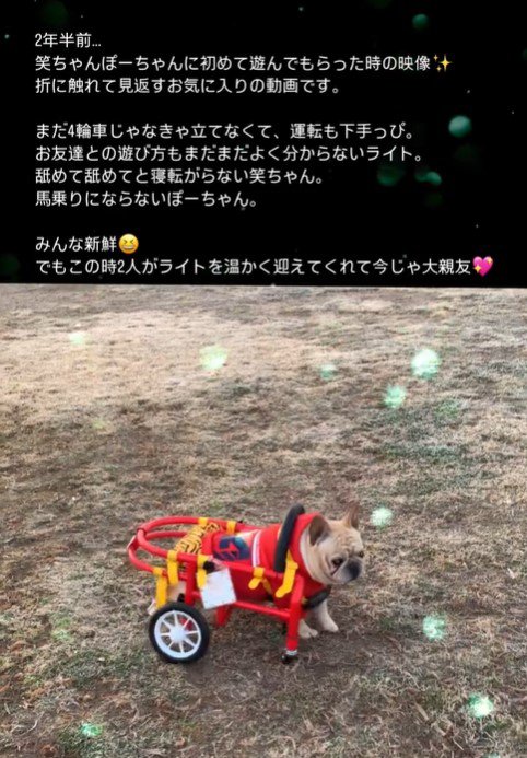 車椅子のライトくんとお友達6