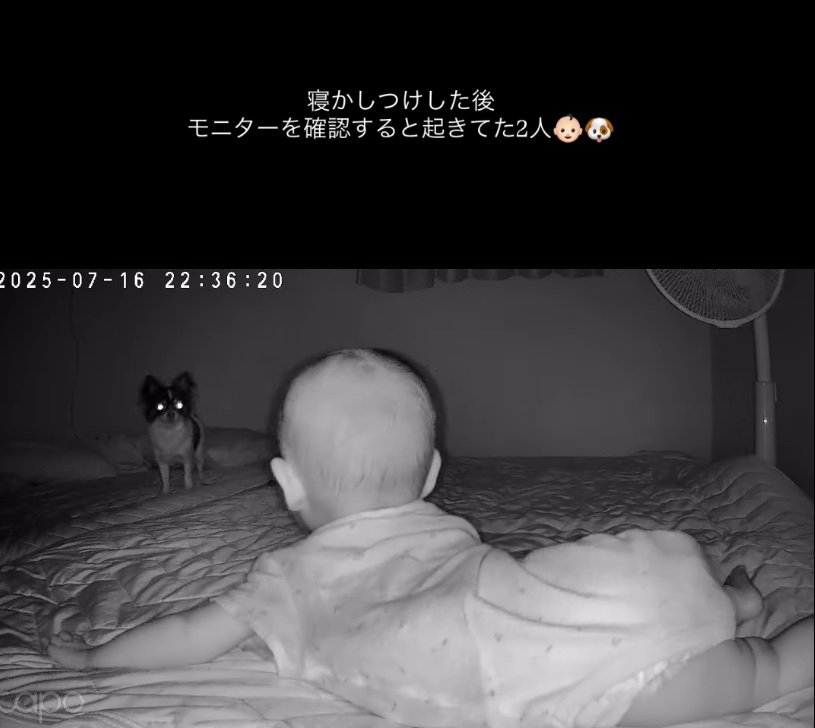 夜に起きて遊ぶ二人