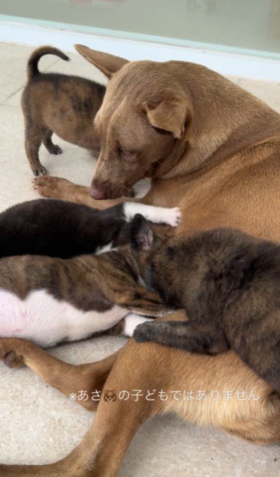 こんなに幸せな姿に！！