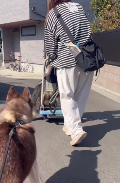 悠々と運ばれていった