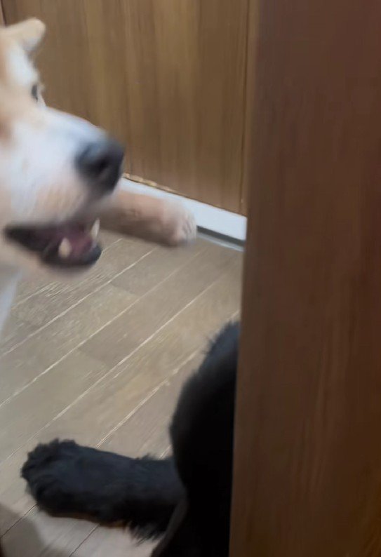 閉じ込めるために一致団結！？