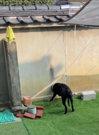 顔を出すのが日課