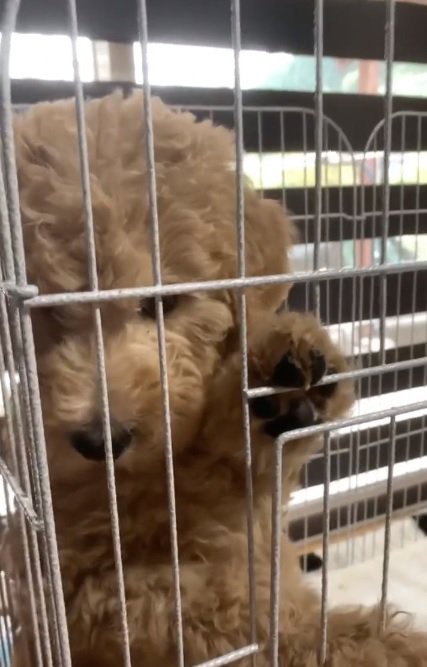 生後2か月のカムくん1