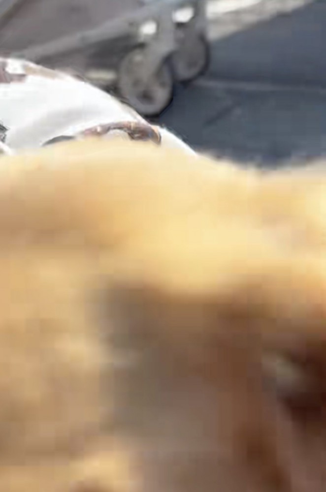 カメラにドンッ