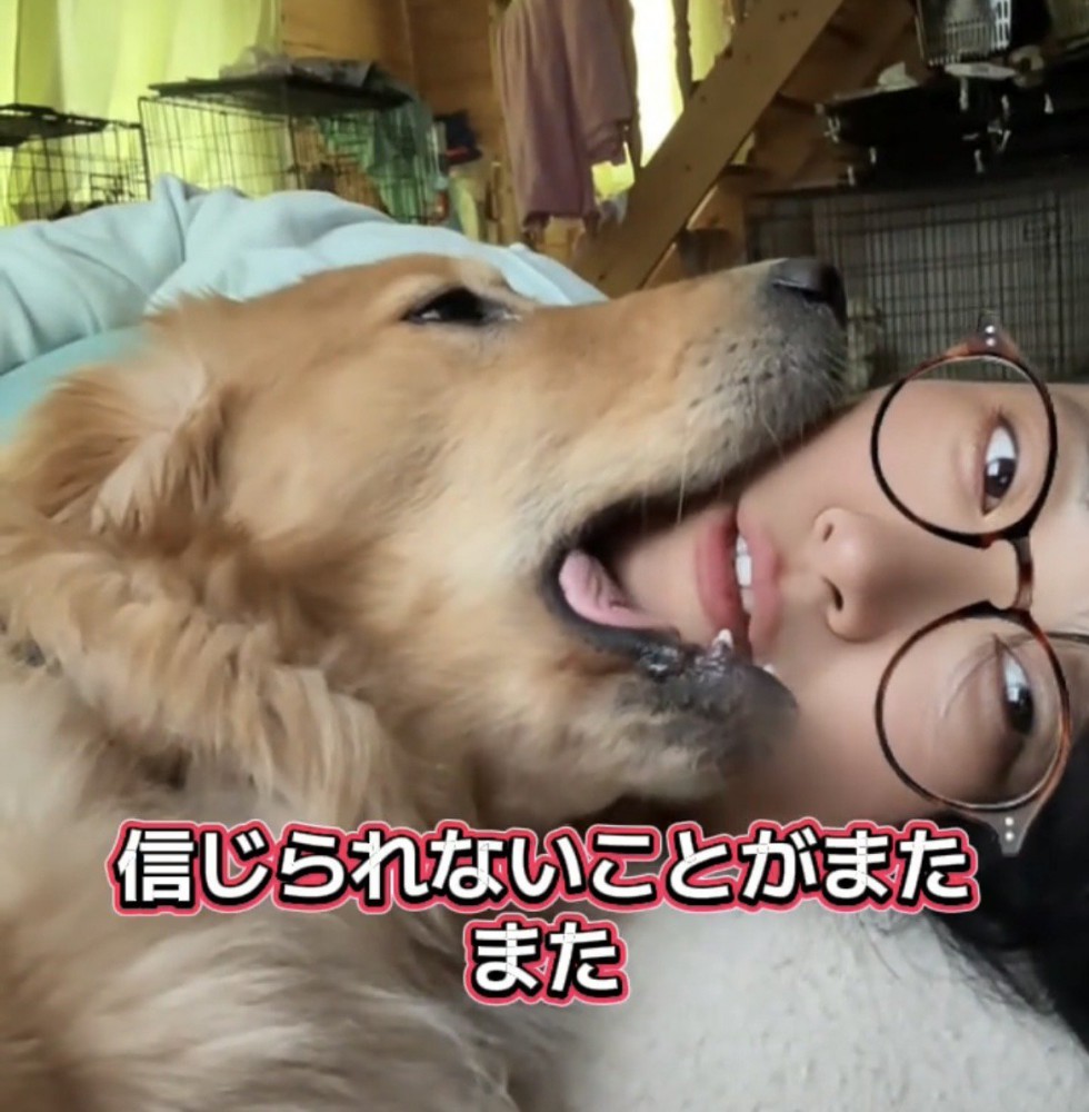 女性の顎を噛む犬