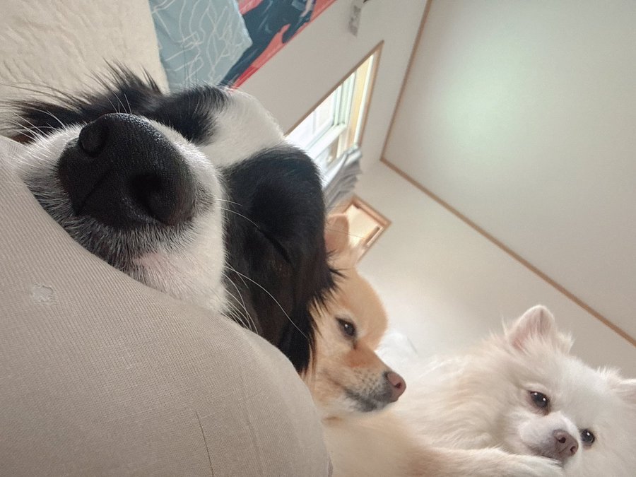 仲良し
