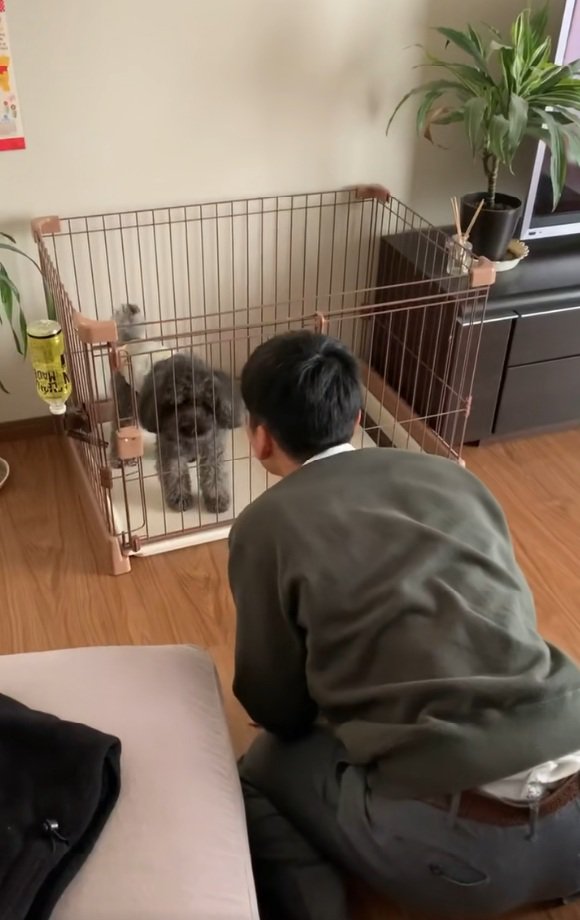 ワンコに挨拶する友達