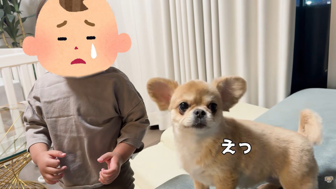 「もしかして私のせい…？」