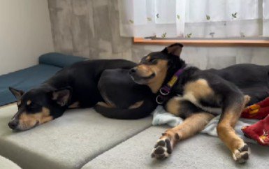 初めから仲良し♡