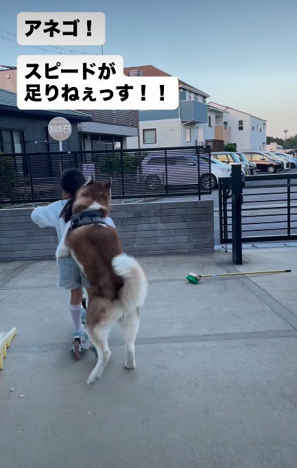 どんな遊びも一緒だよ