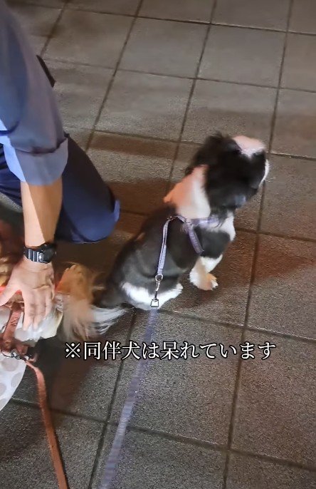 「いつまで続くの…」