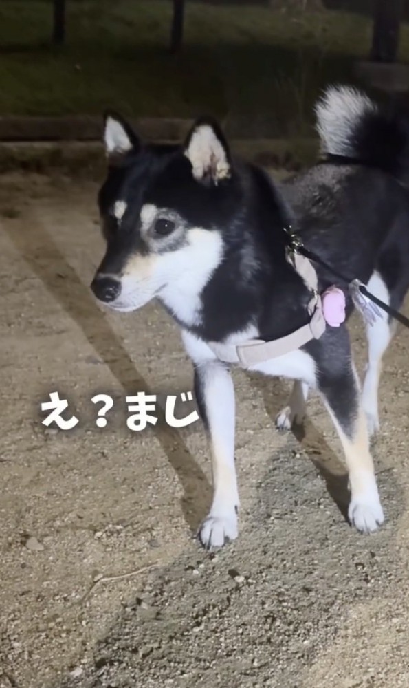 ときめいている目