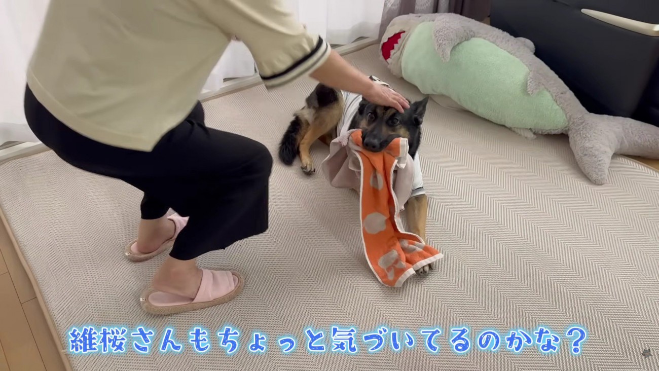 おばあちゃんを気遣う維桜ちゃん
