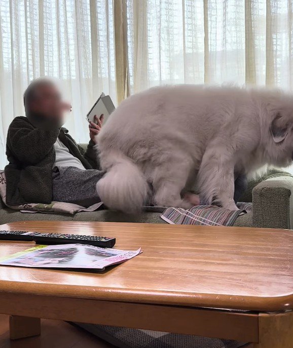 くるっと回って…