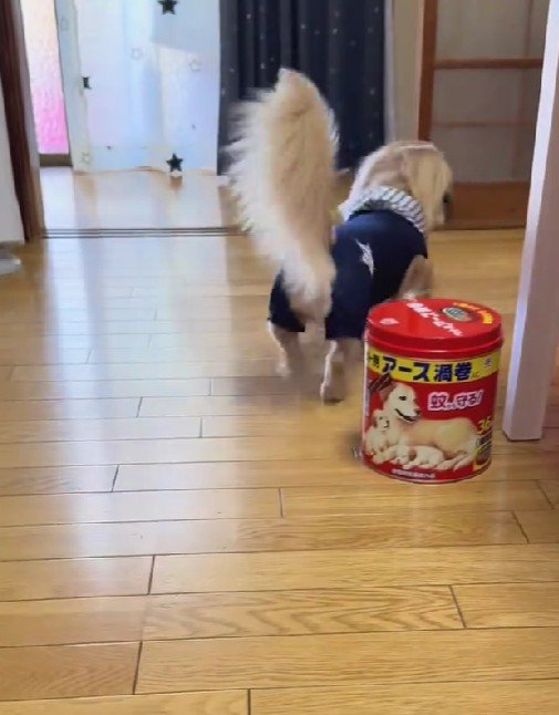 どこかへ行ってしまった