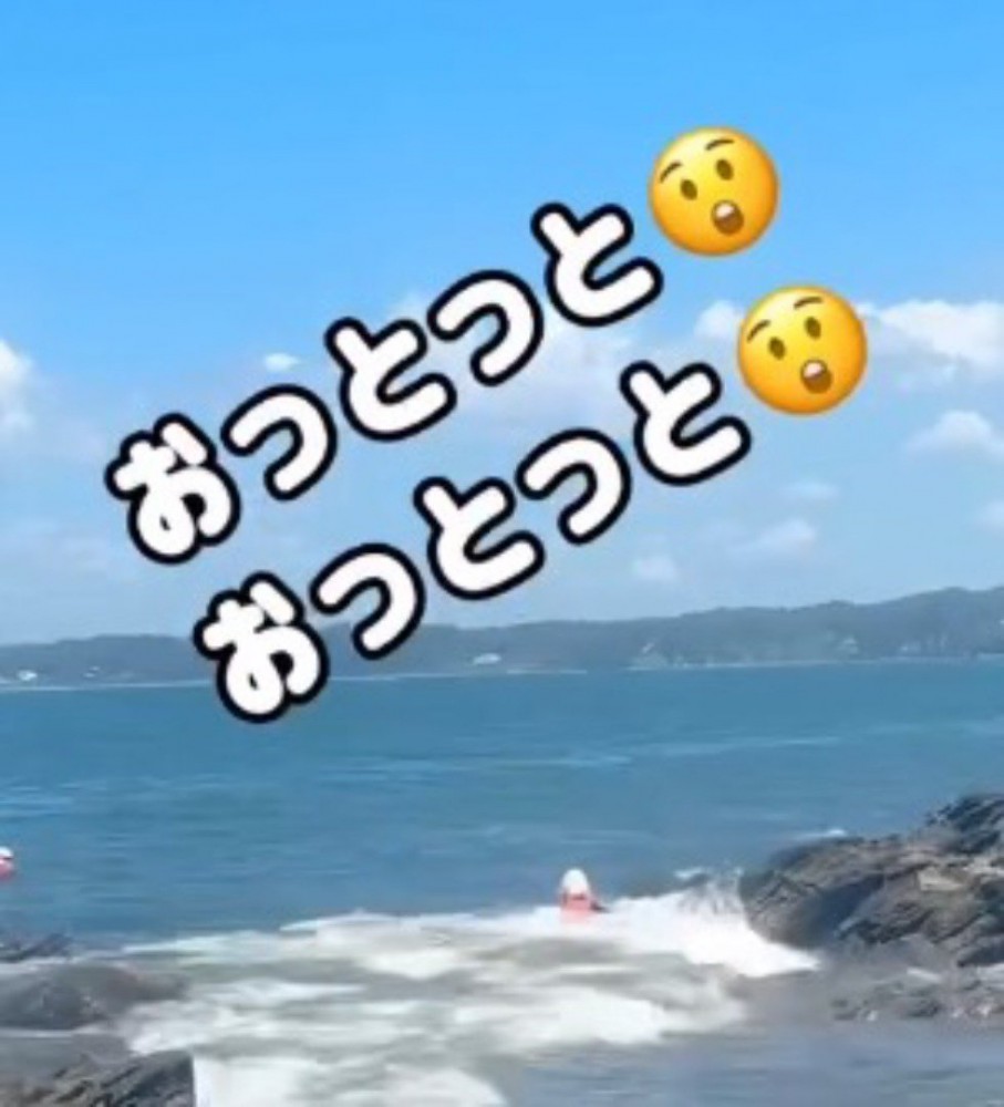 犬に襲いかかる波