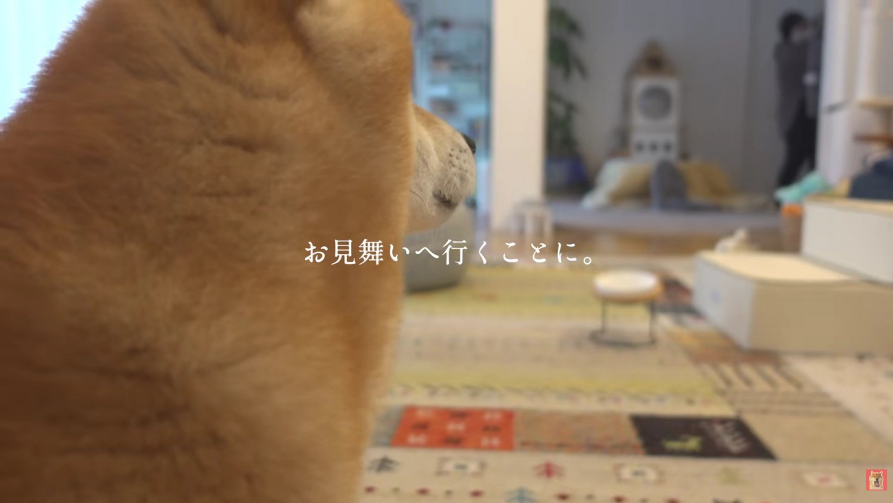 甥っ子のお見舞いに…