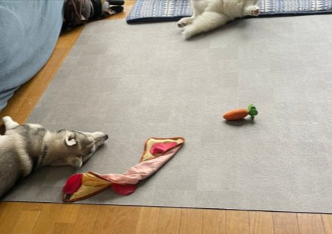 お母さん