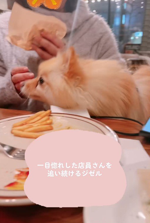 店員さんが水を注ぎに来たら…