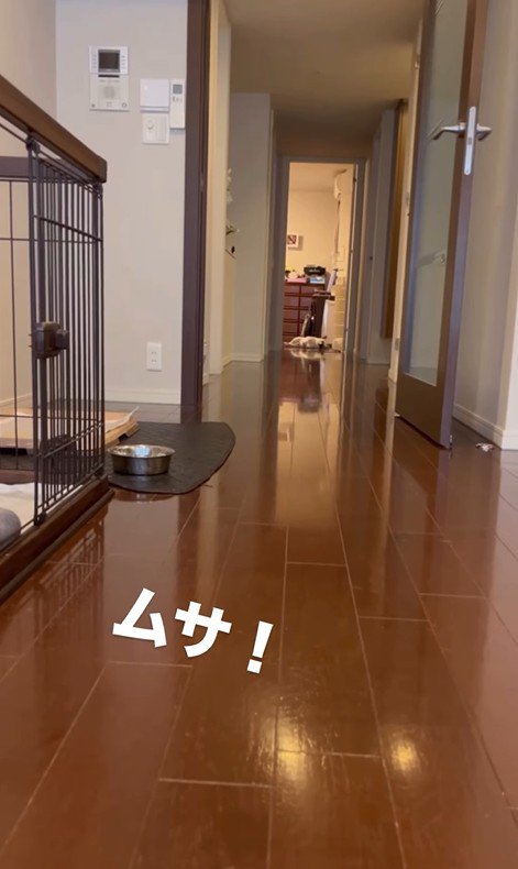 武蔵くんを呼んだ時の態度の差