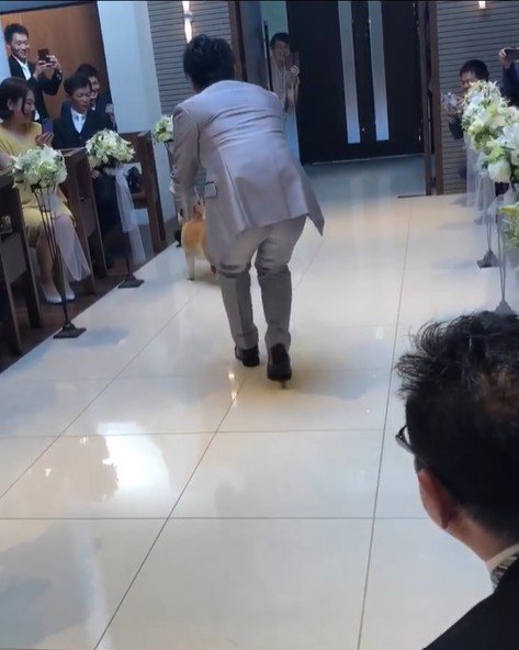 リングドッグに挑戦する豆助座衛門くん7