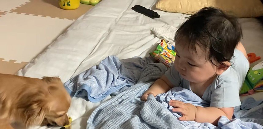 おもちゃを盗られた