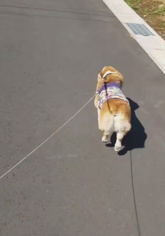 誰かを発見したみたい